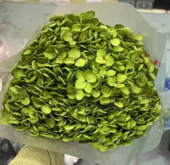 Annabelle Hydrangea Olive Green Dried Preserved Flower Bouquet Wedding Flowers