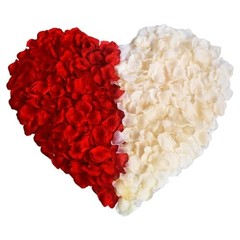 Notoke 2000PCS Artificial Silk Rose Petals Fake Rose Decoration for Romantic