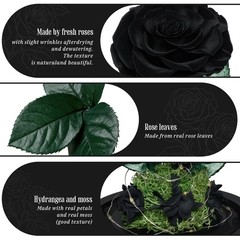 3 Preserved Flowers Roses in Glass Dome for Beauty and The Black