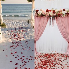 2000PCS Artificial Silk Rose Petals Red & White Wedding Party Decoration