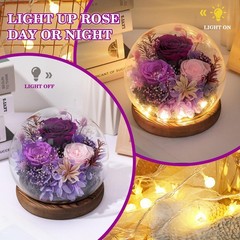FIACO Gifts for Mom Women Valentines Day Birthday Grade A Rose, A-purple