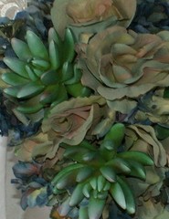 Bluesy Green Silk Succulent and Rose Bride or Bridesmaid Wedding Bouquet