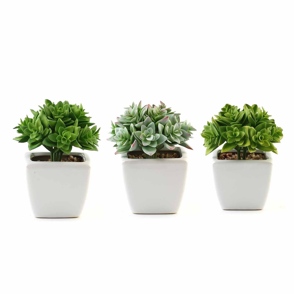 Set of 3 4″ tall Green Faux Crassula Succulent Plants with Off White Pots Sale