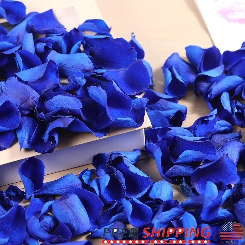 Natural Rose Petals Wedding Decor Romantic Nights Proposal Decorations Crafting