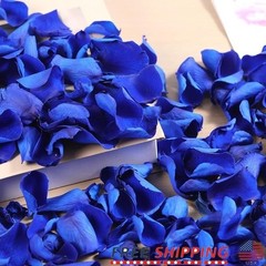 Natural Rose Petals Wedding Decor Romantic Nights Proposal Decorations Crafting