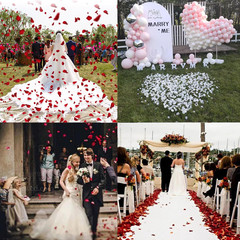 1500 PCS Separated Artificial Ivory Rose Petals,Ivory Silk Petals for Romantic N