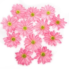 Silk Daisy Flower Heads Daisy Artificial Flower Head Bulk, 12 Pcs 3.5 Inch Pink