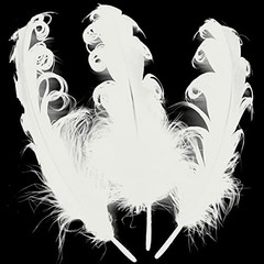 50pcs Curly Nagorie Goose Feathers 5-7inch for Hat Dress Decor Crafts DIY White