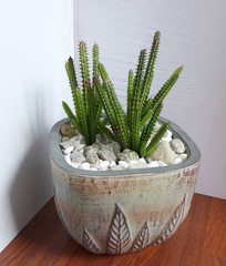 2 Pcs Artificial Small Cactus Column Plants Succulents Grass