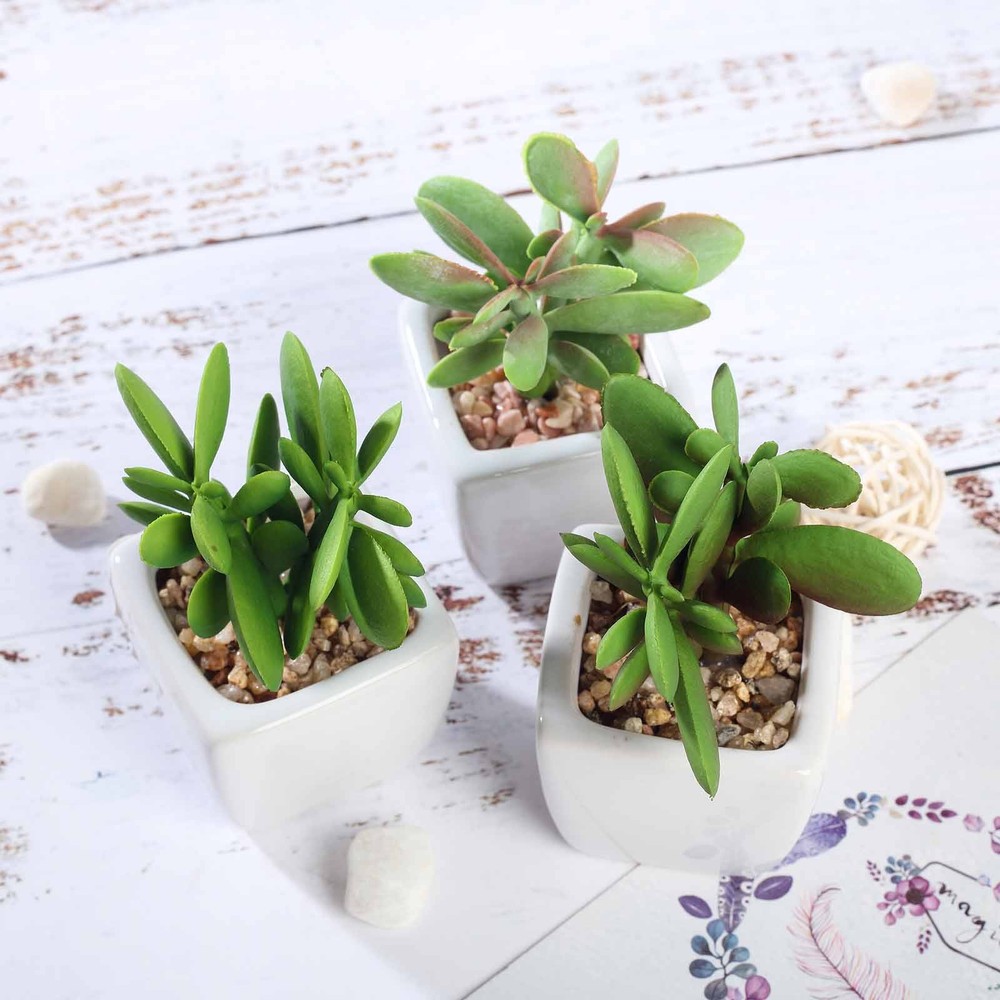 3 3″ Assorted Mini Green Faux Small Succulent Plants with Off White Ceramic Pots