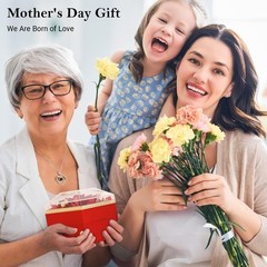 Preserved Rose Gifts for Women, Eternal Flower Rose Box with Heart Necklace, Ro