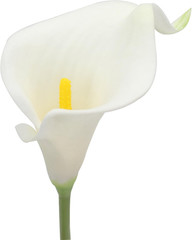 20Pcs Calla Lily Bridal Wedding Bouquet Lataex Real Touch Artificial Flower Home