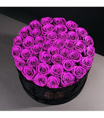 U Forever Roses Purple