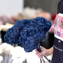 Dried Hydrangea Annabelle Navy Blue Preserved Flower Floral Decor Home Wedding