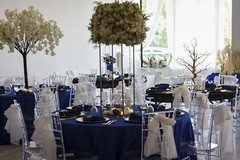 Wedding Decor (4) White Cherry Trees + (4) XXL Flowerballs + (2) 8ft Floor Trees