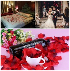1000/2000 PCS Rose Petals, Fake Red Rose Petal, Artificial Silk Rose Petals USA