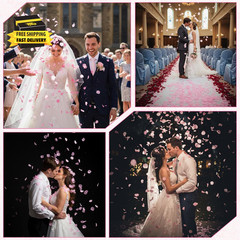 1000PCS Pink Rose Petals, Artificial Silk Flower Petals for Galentines Day Decor