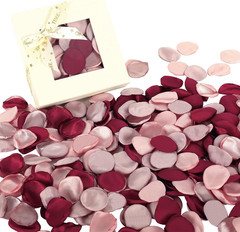 Whaline 300 Pcs Silk Rose Petals Burgundy Maroon Flower Petals with Gift Box Art