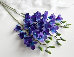 3 x LATEX TOUCH SINGAPORE BLUE PURPLE ORCHID DENDROBIUM ORCHIDS FLOWER FLOWERS