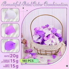 180 real purple-white rose petals, suitable for wedding flower girls to scatter