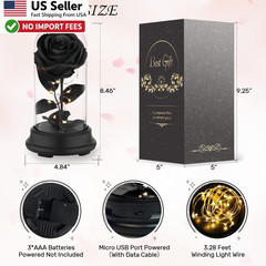 Preserved Black Rose Gift Light Up Eternal Flower In Dome For Mom Wife FROM USA