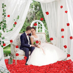 3000 PCS Dark Red Artificial Silk Rose Petals for Romantic Night, Wedding, Party