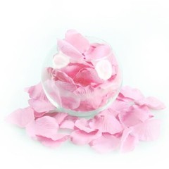 2000PCS Artificial Silk Rose Petal Decoration Light Pink Valentines Day