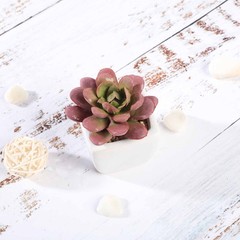 3 Green 3″ Off White Ceramic Pots Assorted Faux Mini Succulent Plants Home Gift