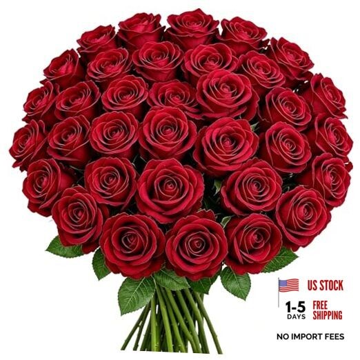 50PCS 20‘’ Red Artificial Roses Flowers with Long 50pcs Red Artificial Flowers