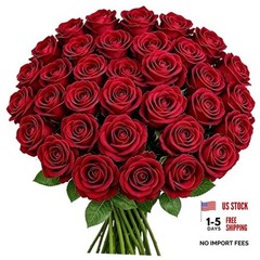 50PCS 20‘’ Red Artificial Roses Flowers with Long 50pcs Red Artificial Flowers