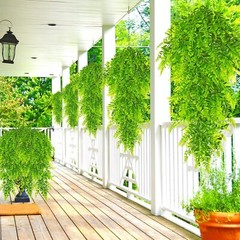 4Pcs Artificial Hanging Fern Plants FakeTrailing Foliage Flower Leaf Home Decor