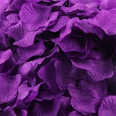 1000pcs Silk Rose Petals Artificial Flower Wedding Party Vase Decor Dark Purple