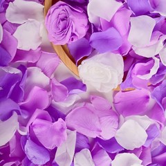 180 real purple-white rose petals, suitable for wedding flower girls to scatter