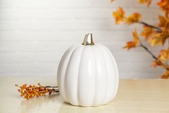 Pearhead Pumpkin Fall Decor – Ceramic White One Size,
