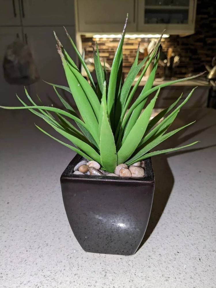 Vintage Decorative Mini Artificial Desert Plant Buried in Pebbles in a 2″x3″ Pot