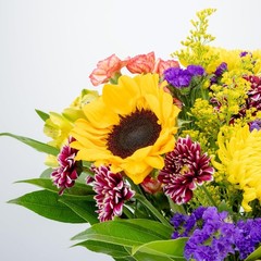 Benchmark Bouquets Flowering Fields Sunflower Bouquet – Mothers Day Flowers for