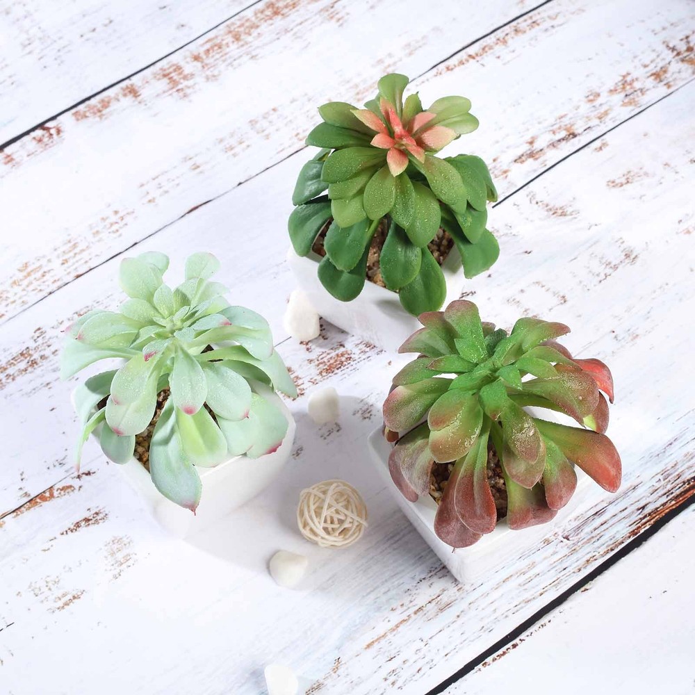 3 Green 5″ Assorted Faux Echeveria Succulent Plants Off White Ceramic Pots Party
