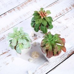 3 Green 5″ Assorted Faux Echeveria Succulent Plants Off White Ceramic Pots Party