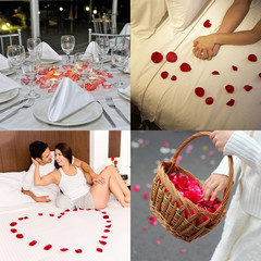 1500 PCS Separated Artificial Ivory Rose Petals,Ivory Silk Petals for Romantic N