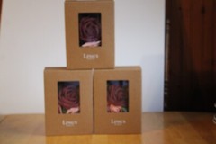 Ling Moments artificial Roses 5 flowers in each box 3 boxes earth tones