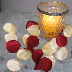200PCS Silk Rose Petals Fake Scatter Petals Burgundy Gold Pink Flower Petals for