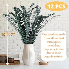 12 Pcs Dried Eucalyptus for Shower Hanging – 17” Real Large Preserved
