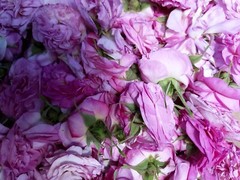 Rose Petals (whole) pink Dried Flower ~ USA