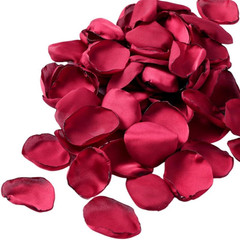 DJBM Silk Rose Petals 200PCS Flower Girl Scatter Petals for Wedding Flower Decor