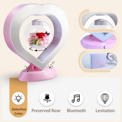 LoveLin Heart Preserved Rose Flowers with Bluetooth 10 inches, White and Pink