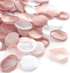 Floroom 300Pcs Rose Petals Dusty Rose Blush Faux Silk Flower Petals for Wedding