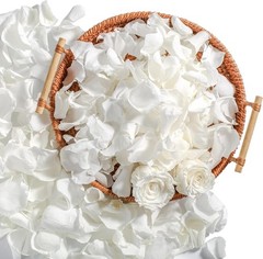 Real Ivory Rose Petals – Preserved Dried Flower Confetti for Weddings & Parties,