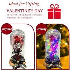 SINT Preserved Rose Gifts for Women, Forever Real in Deep Red Bouquet