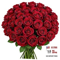 50PCS 20‘’ Red Artificial Roses Flowers with Long 50pcs Red Artificial Flowers