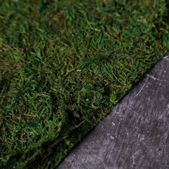 18″ x 16″ Green Natural Preserved Moss Sheet Party Wedding Crafts Decorations